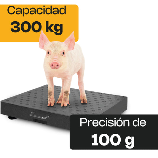 BAPIC-300