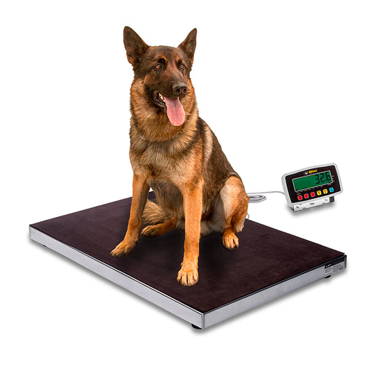 BASCULA VETERINARIA BAVET-200